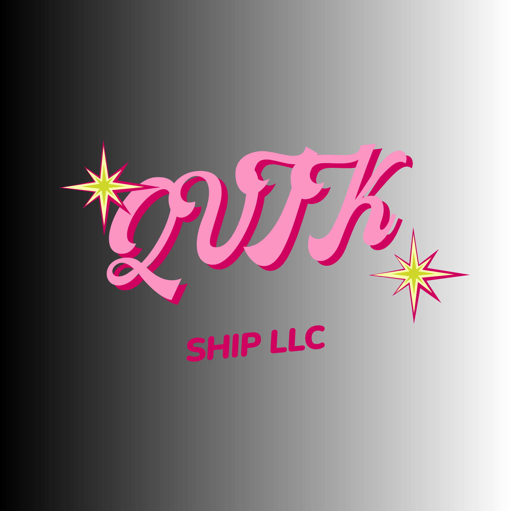 QVIK SHIP LLC